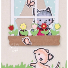 Post Card 5